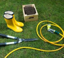 Die richtige Rasenpflege im Frühjahr – Nützliche Gartentipps und Ideen