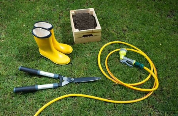 Rasenpflege im Frühjahr Gartentipps und Werkzeuge