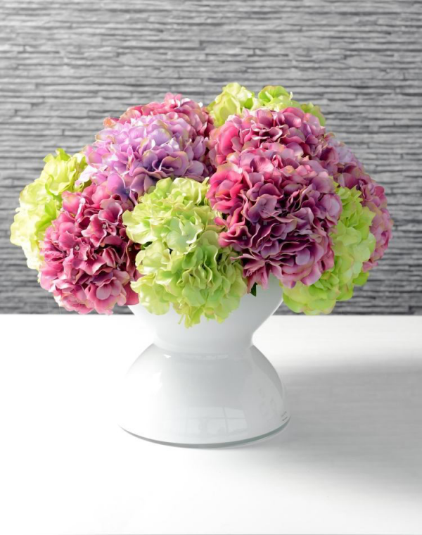 Rosa Hortensien Hortensienblüten verschiedene Farben in einer weißen Vase arrangiert
