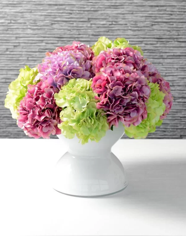 Rosa Hortensien Hortensienblüten verschiedene Farben in einer weißen Vase arrangiert