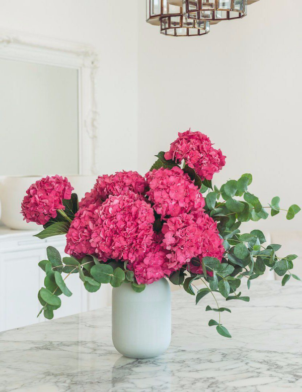 Rosa Hortensien rosa bis rot schöne große Blüten in weißer Vase arrangiert