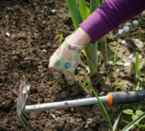 Sommer 2021: So bereiten Sie Ihren Garten auf die kommende Saison vor