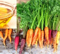 Karottenöl – was steckt hinter dem neuen Beauty-Hype?