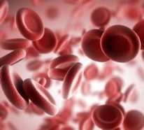 10 natürliche Blutverdünner für einen besseren Blutfluss