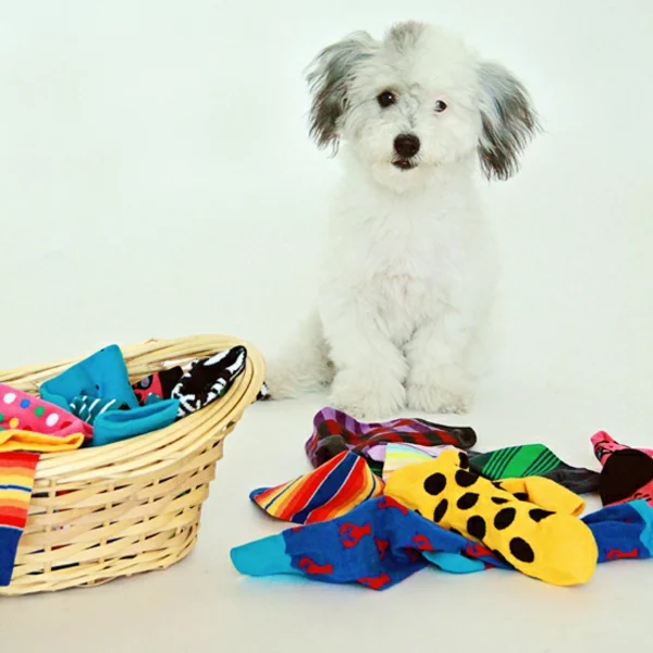 Hundespielzeug aus alten Socken basteln Bastelideen