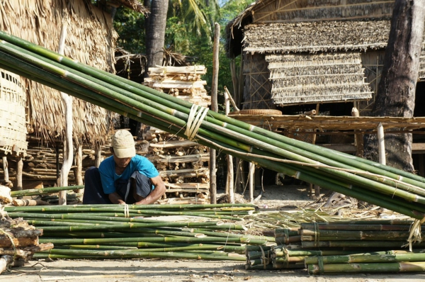 Wie schnell wächst Bambus Bambusmaterial