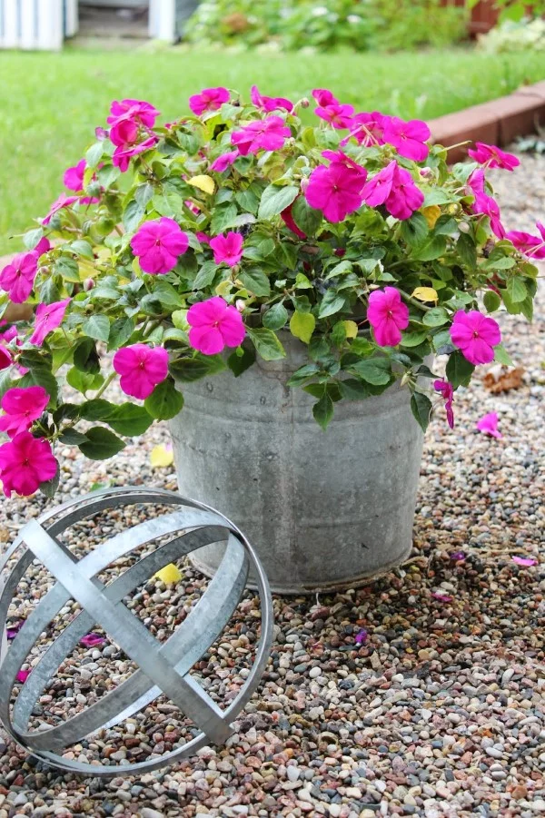 Zinkwanne dekorieren – Ideen und Tipps für eine rustikale Gartendeko garanium pflanze gartendeko