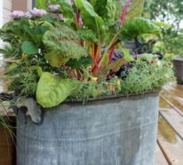Zinkwanne dekorieren – Ideen und Tipps für eine rustikale Gartendeko