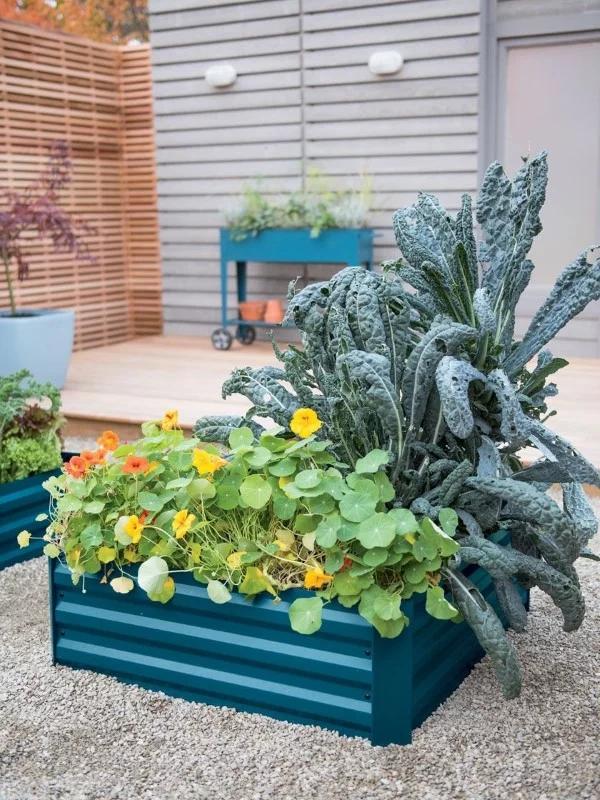 Zinkwanne dekorieren – Ideen und Tipps für eine rustikale Gartendeko hochbeet metall blau