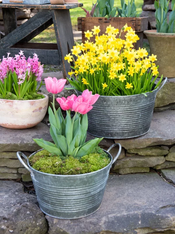 Zinkwanne dekorieren – Ideen und Tipps für eine rustikale Gartendeko tulpen blumen frühling schön