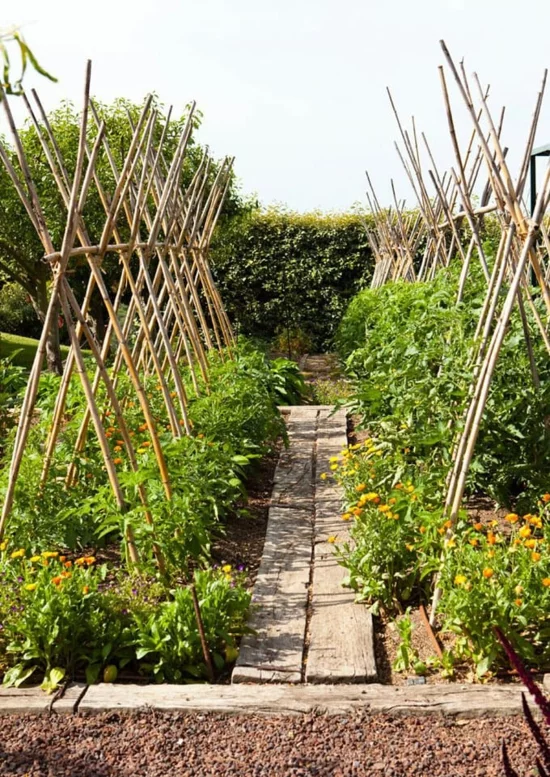 Rankhilfen fürs Gemüse im Garten aus Bambusästen bauen 