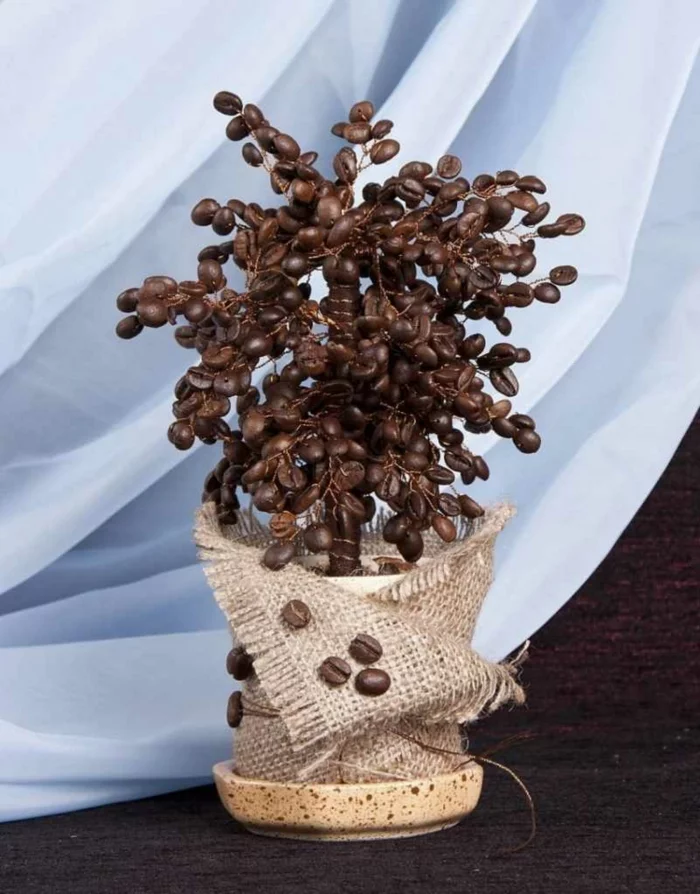 basteln mit kaffeebohnen geldbaum