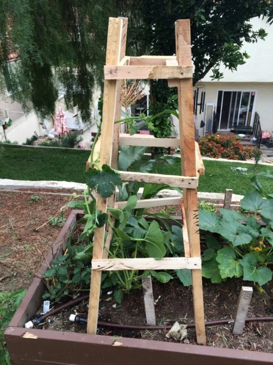 DIY Rankhilfe in Form von Leiter im Gemüsebeet 