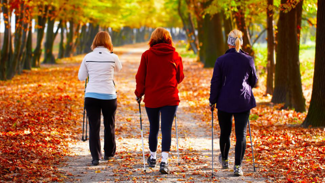 täglicher Spaziergang drei Frauen beim Spazierengehen im Park etwas Gutes für sich tun