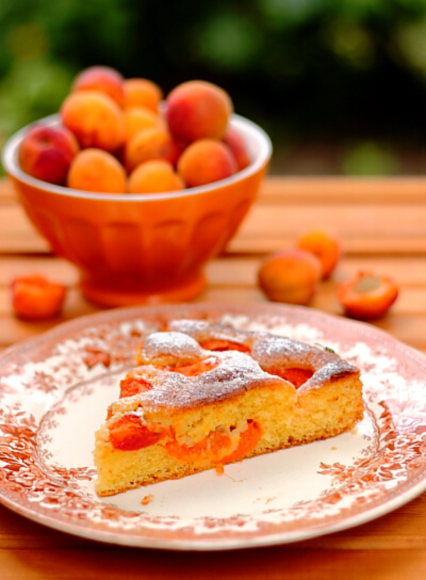Aprikosenkuchen ein Stück auf dem Teller daneben frische Aprikosen in einer Obstschale
