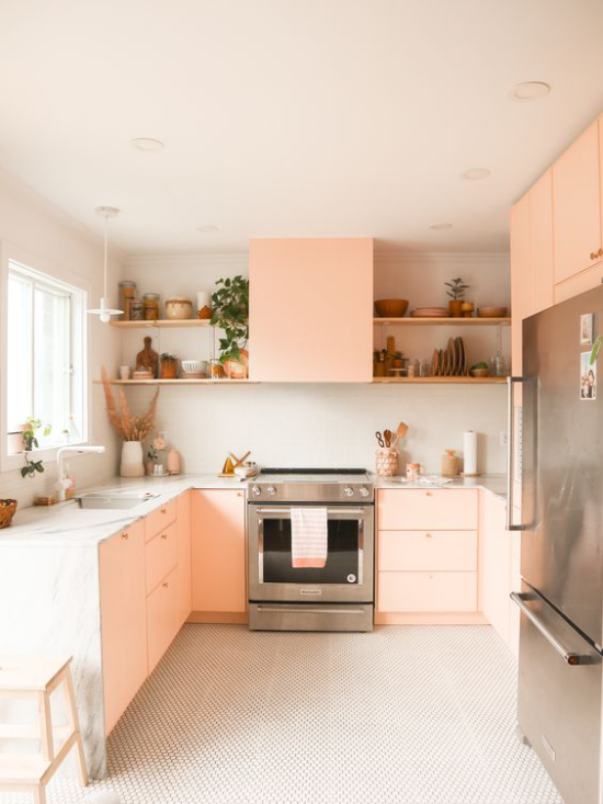 Farbpaare moderne Küche in Lachsrosa und weiß sehr stilvoll gestaltet