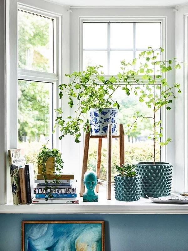 Fensterbank dekorieren für den Sommer – frische Ideen für jedes Interieur immergrüne pflanzen arrangements