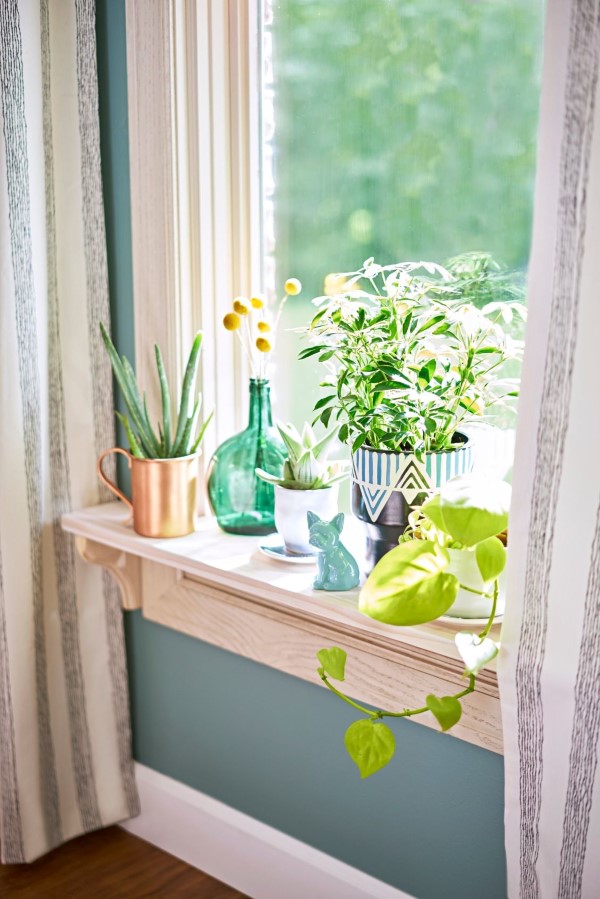 Fensterbank dekorieren für den Sommer – frische Ideen für jedes Interieur immergrüne zierpflanzen fenster