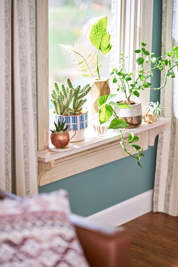 Fensterbank dekorieren für den Sommer – frische Ideen für jedes Interieur kübelpflanzen zierpflanzen grün