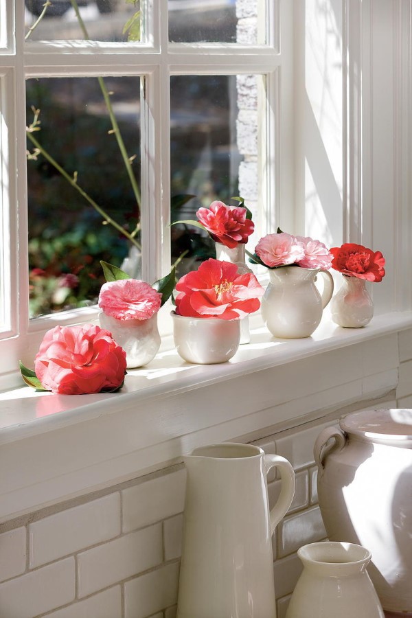 Fensterbank dekorieren für den Sommer – frische Ideen für jedes Interieur peony blumen in vasen