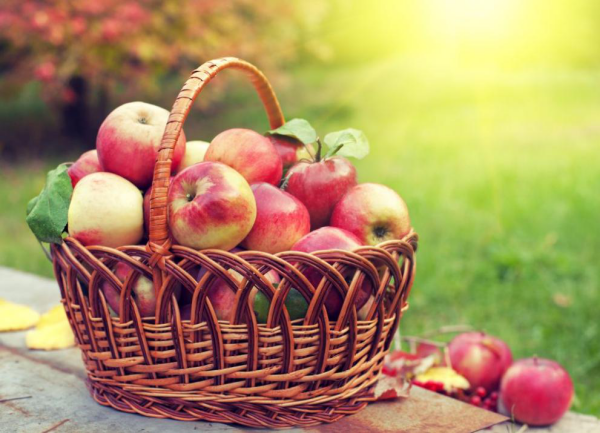 Sattmacher gesund gegen Heißhunger ein Flechtkorb voll mit roten Äpfeln