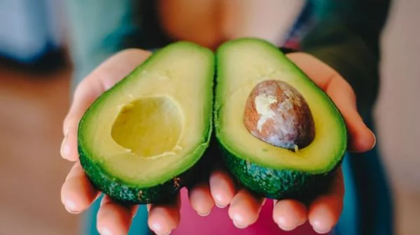 natürliche Fettverbrenner Avocado modernes Superfood viele gesunde Inhaltsstoffe Enzym Lipase