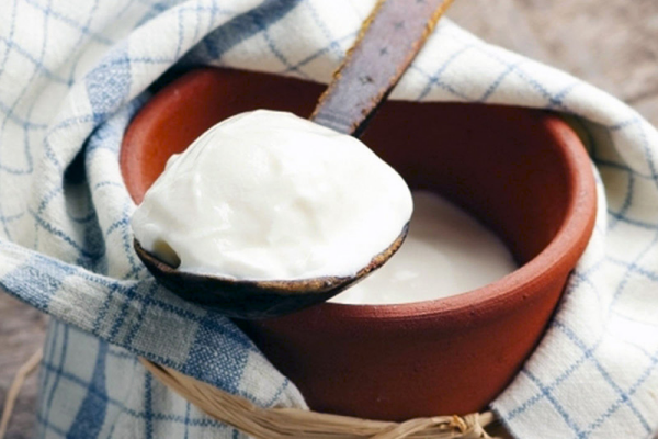 natürliche Fettverbrenner griechischer Joghurt wertvolles Probiotikum gut bei Heißhungerattacken