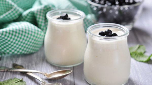 natürliche Fettverbrenner griechischer Joghurt zwei Gläser mit Brombeeren positive Wirkung auf die Darmflora und die Energiebilanz im Körper