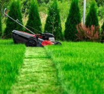 Den richtigen Rasenmäher auswählen – wichtige Kriterien und praktische Tipps