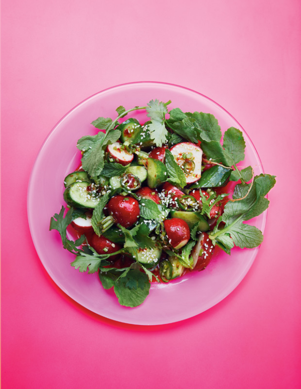 Frische Sommersalate vegetarisch Gurken und Radieschen mit Petersilie