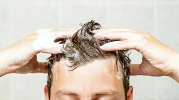Hausmittel gegen Haarausfall Haarpflege