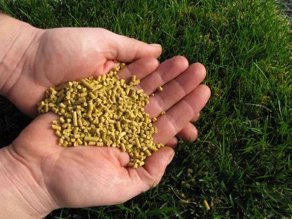 Horn-Sauerklee bekämpfen mit natürlichen Hausmitteln und umweltfreundlichen Methoden maisgluten mehl granulat