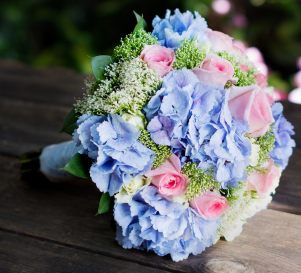 Hortensien zum Blühen bringen Überraschung ein stilvolles Bouquet mit blauen Hortensien und rosa Rosen