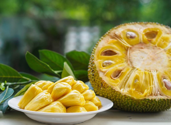Vegane Jackfruit Rezepte und Wissenswertes über den exotischen Fleischersatz jackfrucht groß reif