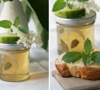 Holunderblütengelee zubereiten – zwei super einfache Rezepte für mehr Sommergenuss zu Hause