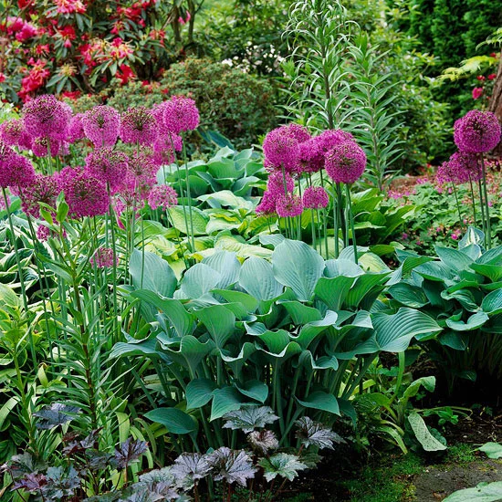 mehr Farbe in den Garten bringen sattes Grün und violette Blüten im Kontrast