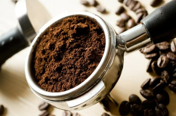 Kaffeesatz Vorteile natürliches Insektenschutzmittel sammeln trocknen verbrennen 