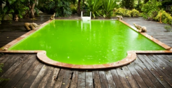Poolwasser Farbe Sauberkeit Ideen