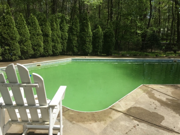 Poolwasser grüne Farbe Ideen