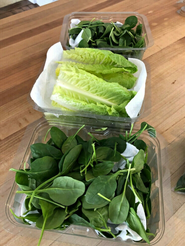 Salat lagern grüner Salat aufbewahren