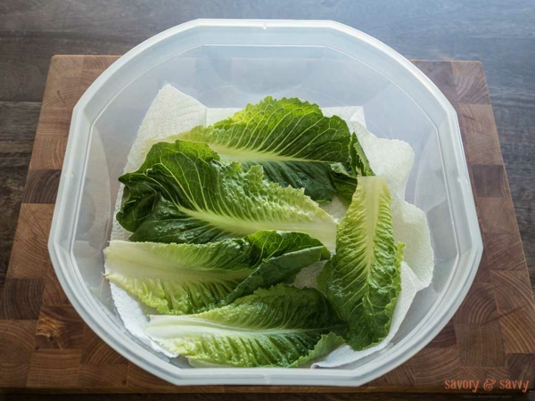 Salat vorbereiten und im Kühlschrank lagern Papiertuch