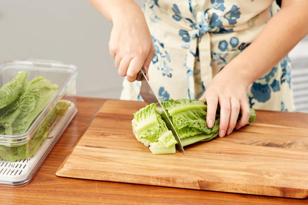 Salat vorbereiten und im Kühlschrank lagern Salatblätter schneiden