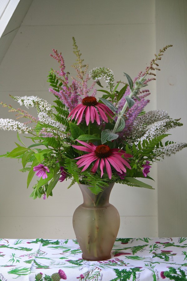 Sonnenhut Pflanze – Wissenswertes und Pflege Tipps rund um den Sommerblüher schnittblume vase arrangement