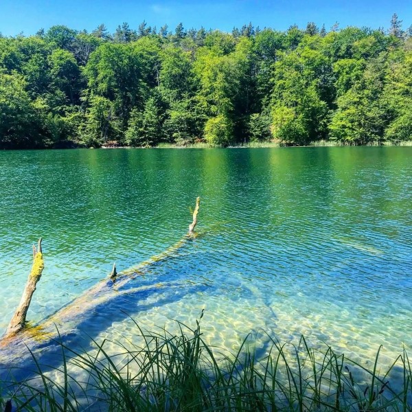 Top 10 der schönsten Seen in Deutschland für Ihre Reiseliste Großer Stechlinsee