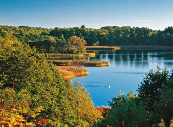 Top 10 der schönsten Seen in Deutschland für Ihre Reiseliste Schaalsee