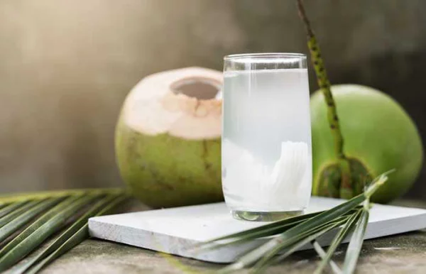erfrischende Sommergetränke frisch zubereitetes Kokoswasser mit exotischem Beigeschmack