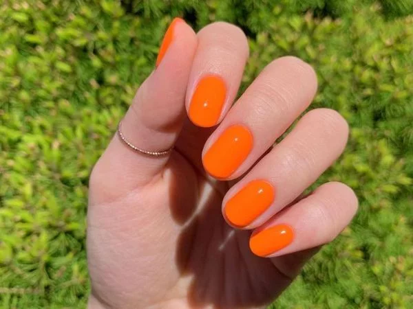 farbe orange tolle trends