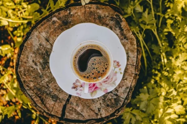 Baumstumpf dekorieren – kreative Ideen mit Liebe zur Natur beistell tisch kaffee