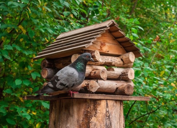 Baumstumpf dekorieren – kreative Ideen mit Liebe zur Natur vogelhaus tauben garten