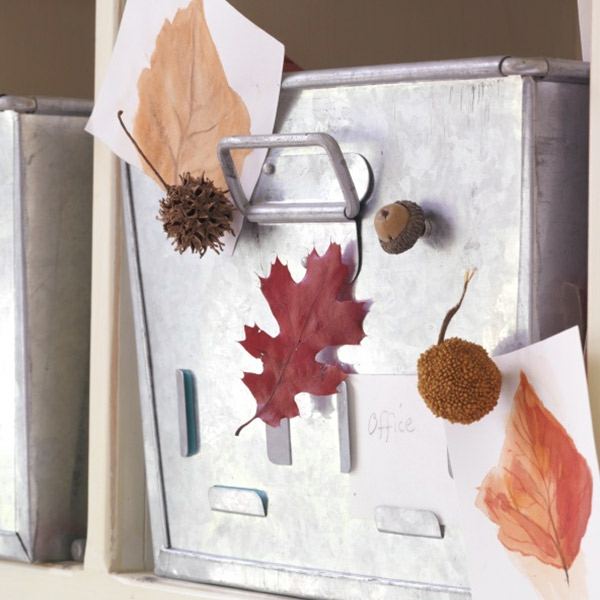 DIY natürliche Deko-Ideen Herbstblätter berahmen